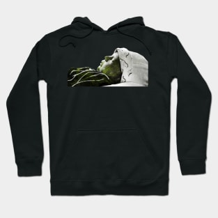 Double exposure baby Hoodie